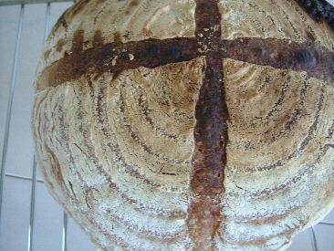 DSCF5191.JPG
