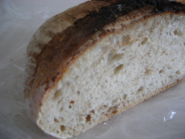 IMGP0080.JPG
