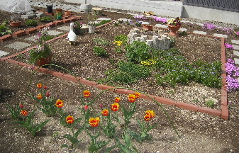 IMGP0045.JPG