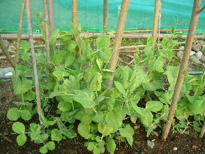 DSCF5043.JPG