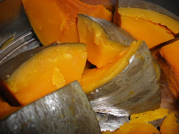 IMGP0305.JPG