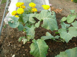 DSCF5046.JPG