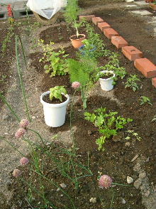 DSCF5051.JPG