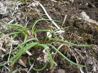 IMGP0240.JPG