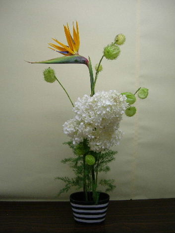 sutoretia