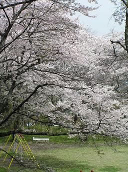 2006P4180018.JPG