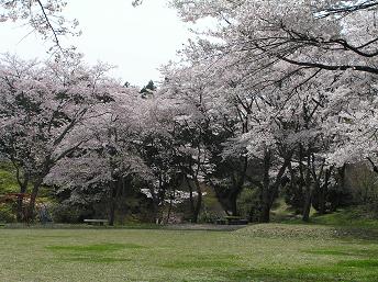 2006P4180030.JPG
