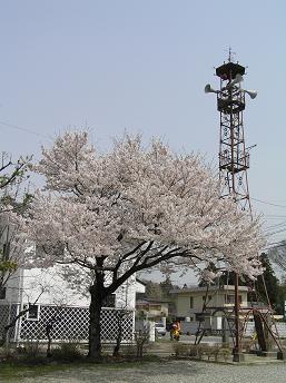2006P4180041.JPG