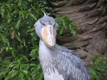 2006P5160237.JPG