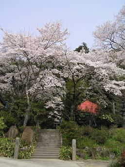 2006P4180047.JPG