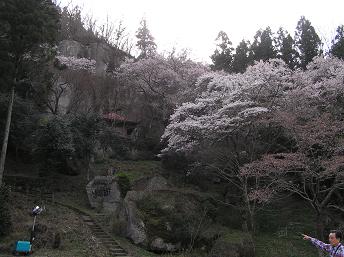 2006P4180059.JPG