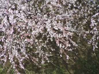 マンション－２