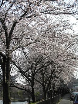 萱田地区公園－２