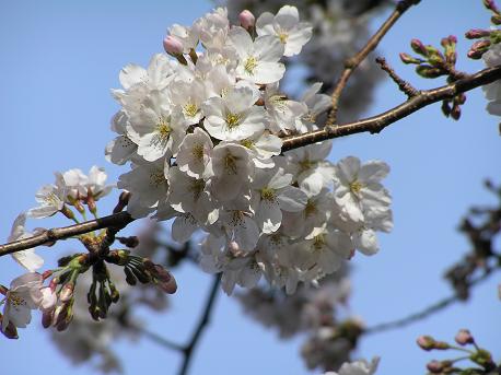 萱田地区公園－９