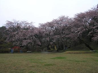 2006P4120020.JPG