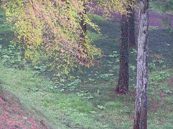 2006P4120027.JPG