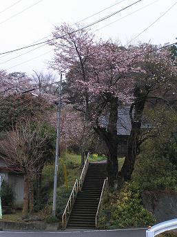 2006P4120048.JPG