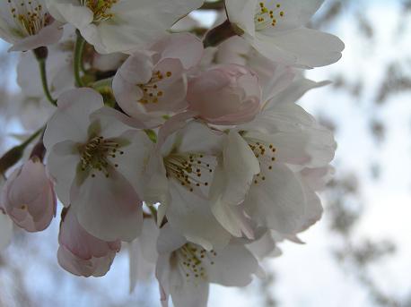 萱田地区公園－１８