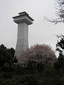 2006P4120067.JPG