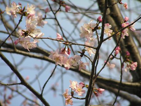 萱田地区公園－２０