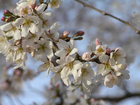 萱田地区公園－２４