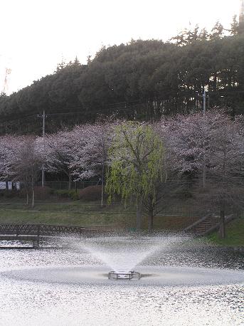 萱田地区公園－２６