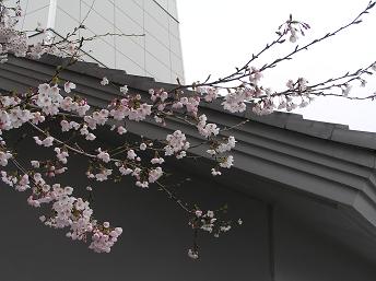 2006P4120096.JPG