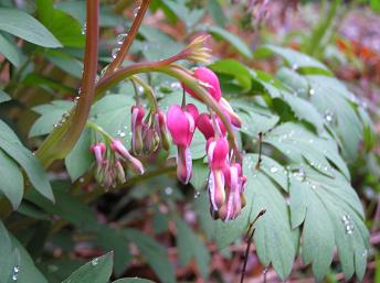 2006P4120105.JPG