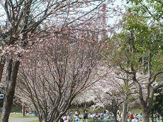 萱田地区公園-10