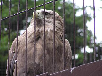 2006P5160086.JPG