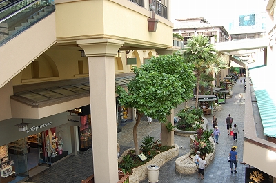 20100119 117.jpg