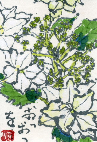 墨田の花火 絵手紙 あたごおかりな 楽天ブログ