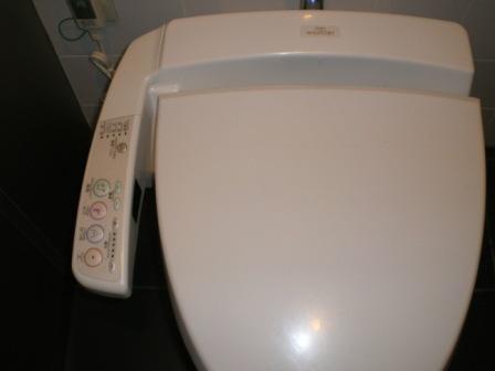 toilet.JPG