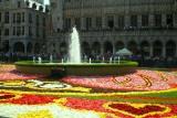 tapis5.jpg