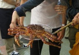 hakodate-56.JPG