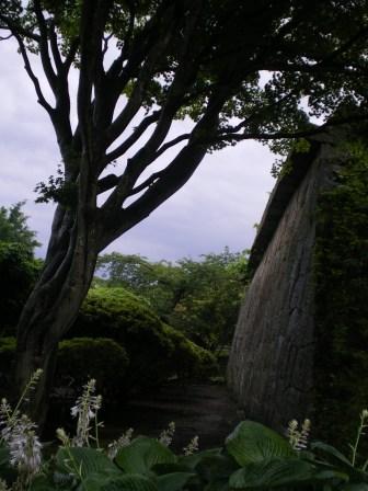 hakodate-87.JPG