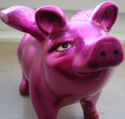 cochon-1.jpg