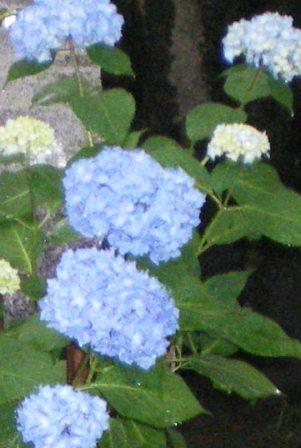 hakodate-110.JPG