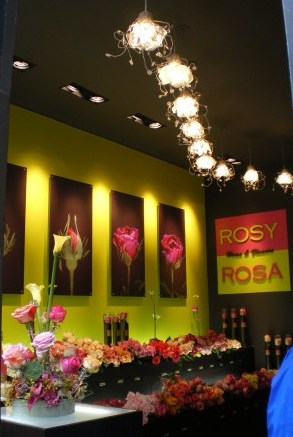 rose-2