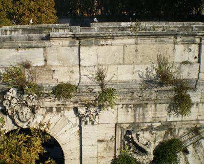 roma-12.jpg