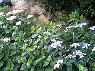 060611_1510~0001.jpg