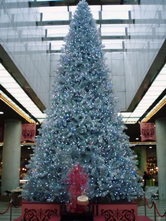 クリスマスツリー.jpg