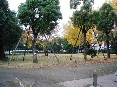 公園.jpg