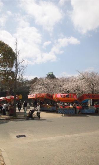 20110407お花見