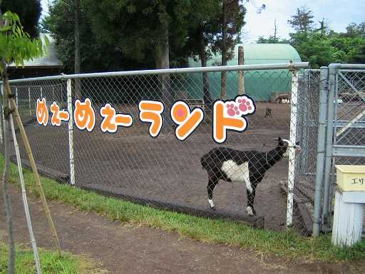 トムソーヤ牧場1