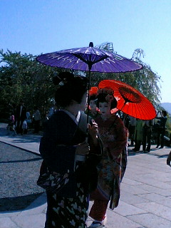 maiko