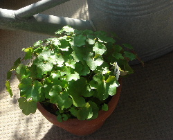 DSC06774.JPG