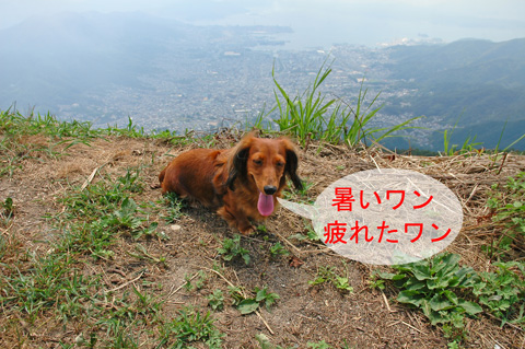 山登２
