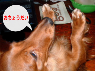 カニ来る５