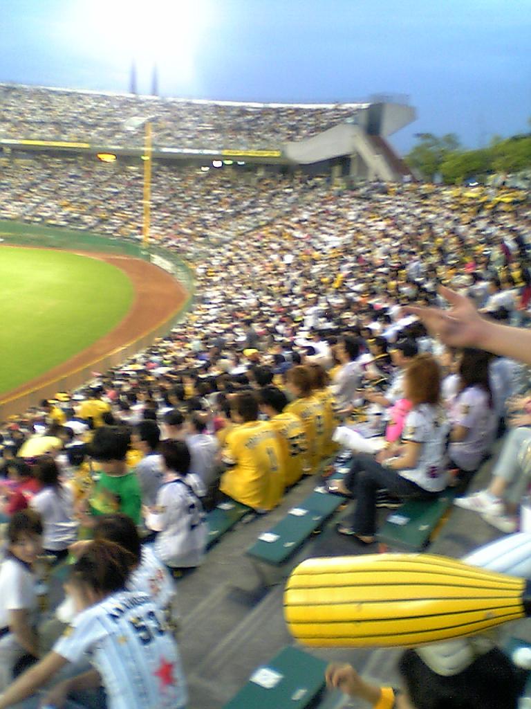 06061602